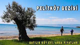 Pelitköy Burhaniye Pelitköy Satılık Ev ve Arsa Fiyatları [upl. by Ococ]