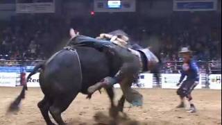 Wild Rides at Swift Current Rodeo [upl. by Etnovad]