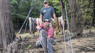 Bank Poles Limb Lines amp GIANT Bluegill BREAM Bait Tips amp Tactics to Catch Flathead Catfish [upl. by Airdnas]