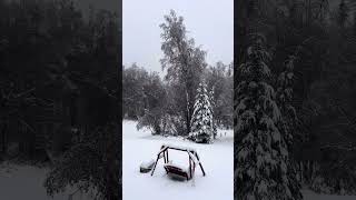 October Snow Storm 2024 Fairbanks Alaska [upl. by Madoc]