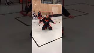 Goaliepractise Målvaktsträning innebandy [upl. by Foote]