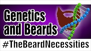 Beards and Genetics  TheBeardnecessities  Ep 24 [upl. by Aneeb]