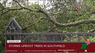 Storm brings tree down at Geoffrey Fiegers office [upl. by Berns941]