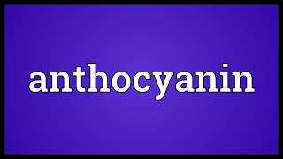 Anthocyanin Meaning [upl. by Anatak]