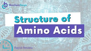 Structure of Amino Acids  Biochemistry [upl. by Anuhsal]