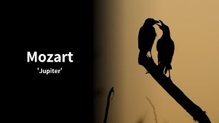 モーツァルト【ジュピター】Mozart【Jupiter】 [upl. by Ahsinauq]