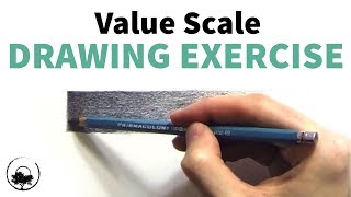 Value Scale Drawing Exercise for Shading Without Blending [upl. by Yenar316]