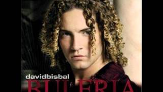 David Bisbal  Amores del surwmv [upl. by Hsiekal954]