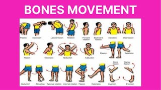 bones movement terminology  body movement terms anatomy body planes of motion [upl. by Beverie]