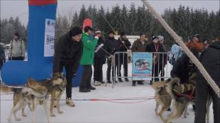 22 Internationales Schlittenhunderennen in Frauenwald 2Wettkampftag 2017 [upl. by Iadrahs]