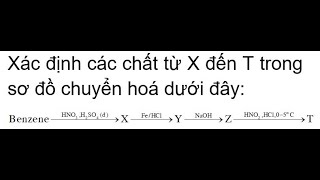 Xác định các chất từ X đến T trong sơ đồ chuyển hoá dưới đây benzene HNO3 H2SO4 X Fe HCl Y NaOH Z [upl. by Atinid]