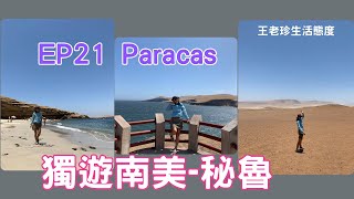 獨遊南美 EP21 秘魯 Paracas  國家保護區 如畫海岸  附錄同遊感受  VLOGCC字幕 [upl. by Eibor]