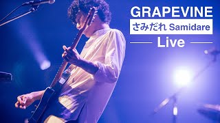 GRAPEVINE  さみだれ Live at Zepp DiverCity 20210708 [upl. by Soinotna]