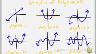 Introduction to Polynomial Functions [upl. by Harimas]