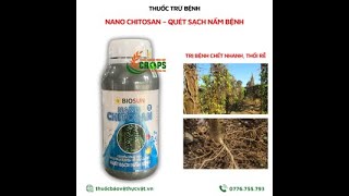 NANO CHITOSAN – THUỐC TRỪ BỆNH0776755793thuốcbảovệthựcvậtvn sươngmai [upl. by Anibla]