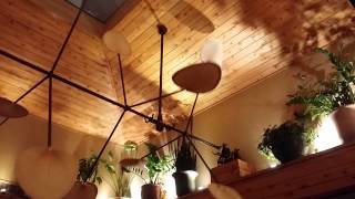 Cheddars Ceiling Fans how neat [upl. by Mainis271]