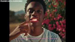 LeoStayTrill  Pink Lemonade Official Music Lyrics Video [upl. by Yerak]