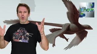 Researchers Discover a Giant 4Winged Dinosaur Bird  The Know [upl. by Nonnahc]