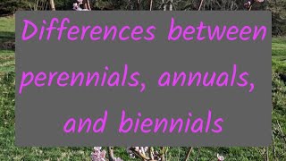 annual plants biennial plants and perennial plants [upl. by Thgiwd]