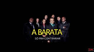 SÓ PRA CONTRARIAR  A BARATA  KARAOKE [upl. by Iretak]