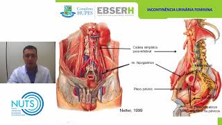 Aula 01 Fisiologia da Miccão 20170731 [upl. by Amaleta]