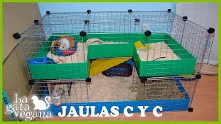 COMO HACER UNA JAULA C Y C PARA COBAYAS CONEJOS  CHINCHILLAS CUYOSCOBAYO CUY CampC CAGE [upl. by Jez41]