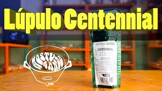 Lúpulo Centennial  O mais potente dos clássicos Cs Use um pouco dele em tudo [upl. by Einahpit66]