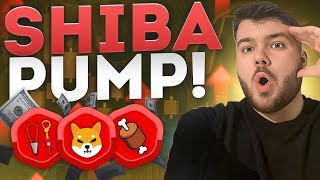 Shiba ÖKOSYSTEM PUMP 🚀 Nicht VERPASSEN Shiba Inu DEUTSCH [upl. by Tannen]