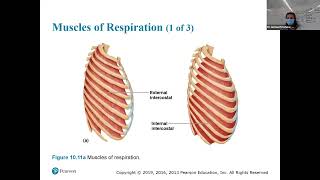 NPLEX Tips and MSK [upl. by Inilam]