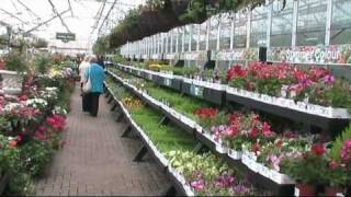 Garden Centrewmv [upl. by Aicrop]