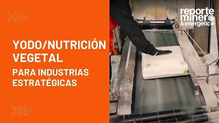 YODONUTRICIÓN VEGETAL PARA INDUSTRIAS ESTRATÉGICAS [upl. by Naujud]