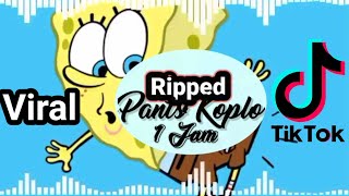 Ripped Pants Koplo Akustik 1 Jam  By Iyuz misterius Tiktok Viral [upl. by Jeana]