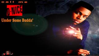 D Nice  Under Some Budda Call Me D Nice 1990 [upl. by Clayborn]