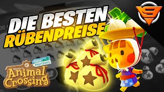 Die besten Rübenpreise  Rübenrechner  Animal Crossing New Horizons [upl. by Swanhilda]