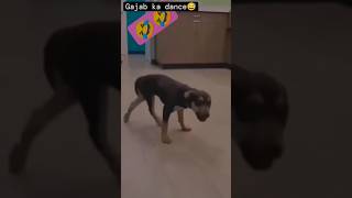 Kutte ka gjb ka dance 🕺🏻😂 dog comedy funnyshorts funnycomedy viralshorts trendingshorts view [upl. by Boutis]