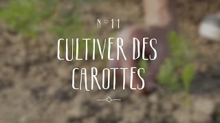 Cultiver des carottes [upl. by Obara]