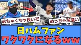 【楽しみ過ぎる】ハムファン待望の試合が行われていた模様ｗｗｗ [upl. by Anifad31]