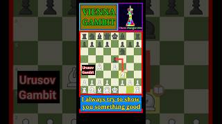 Vienna Game FrankensteinDracula Boden kieseritzky Gambit shorts chess [upl. by Eekorehc880]