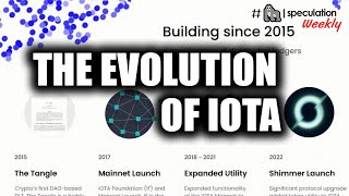 The Evolution of IOTA  feat Dom Schiener  TangleCon [upl. by Gnouhp]