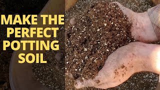 The PERFECT Potting Soil Mix for Soil Blocks and Plug Trays [upl. by Rapsag]