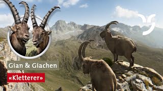 Steinbock Spot quotKlettererquot mit Gian und Giachen [upl. by Panther]