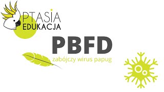 PBFD  Choroba dzioba i piór [upl. by Aivek867]