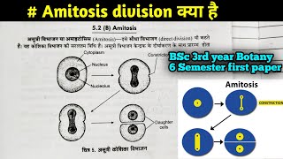 Amitosis Cell division कैसे होता है  BSc 3Rd year Botany 6th Semester first paper in Hindi [upl. by Noiramaj121]