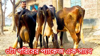 ৩টি গরিবের প্যাকেজ এক সাথে  কার কার কপালে জাবে  জানতে ফুল ভিডিওটা দেখুন [upl. by Seldun]