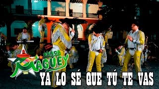 Banda Maguey  Ya lo sé que tú te vas Video Oficial [upl. by Sasnak]