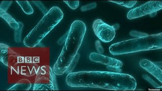 Antibiotic resistance World on cusp of postantibiotic era  BBC News [upl. by Enimisaj341]