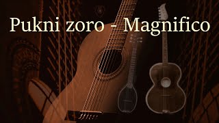 Pukni zoro  Magnifico instrumental  cover [upl. by Llevart]