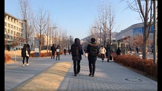 Yonsei University Tour  USAC Study Abroad [upl. by Won]