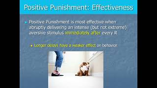 Behavior Analysis and Learning  Aversive Conditioning Pt2  Punishment Effectiveness [upl. by Laddie]