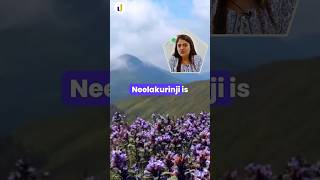 🌸Rarest Flower in India 😮 Blooms Once in 12 years neelakurinji flowers levelupias upsc ias [upl. by Prasad331]